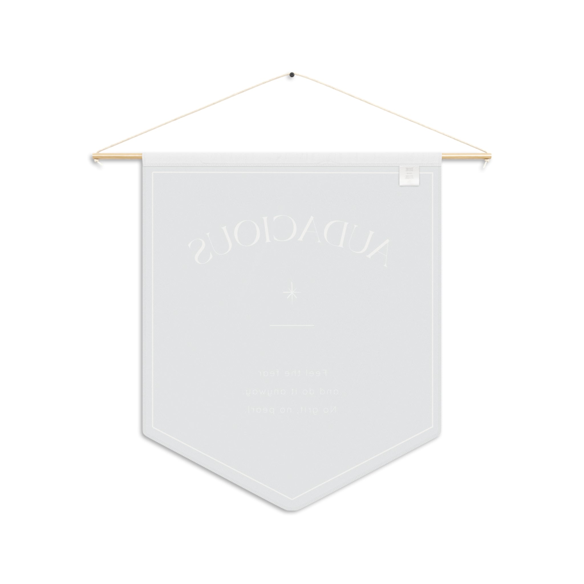 Audacious Pennant Wall Banner