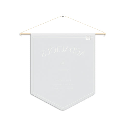 Audacious Pennant Wall Banner